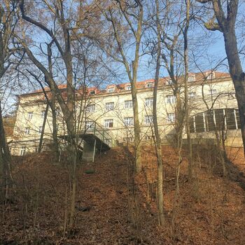 tree landscape autumn forest