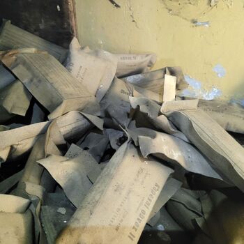 Ein Welpe mit Rüssel