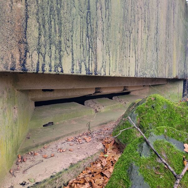 Military training area