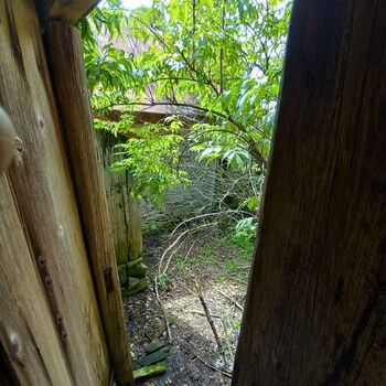 House with enclosed yard