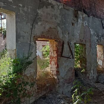 Agricultural area 2023