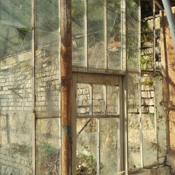 Haus von H.Z 🌿🪴🏚️ Haus von H.Z 🌿🪴🏚️