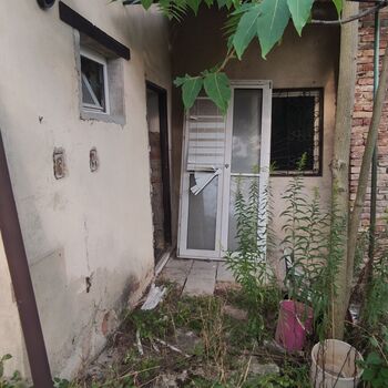 Haus von H.Z 🌿🪴🏚️ Haus von H.Z 🌿🪴🏚️