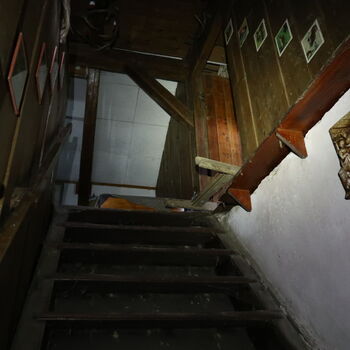 A grove in the borderlands.