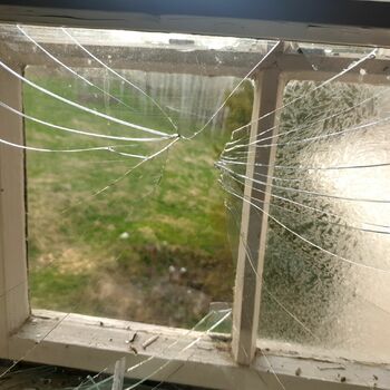 pavučina www pavučina past