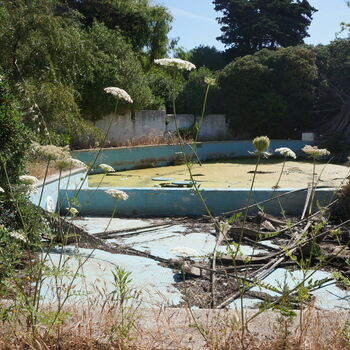 torpedo explosive device