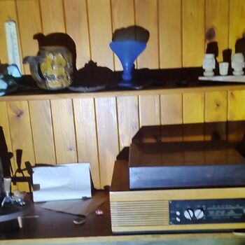 ABANDONED CABIN IN THE FOREST