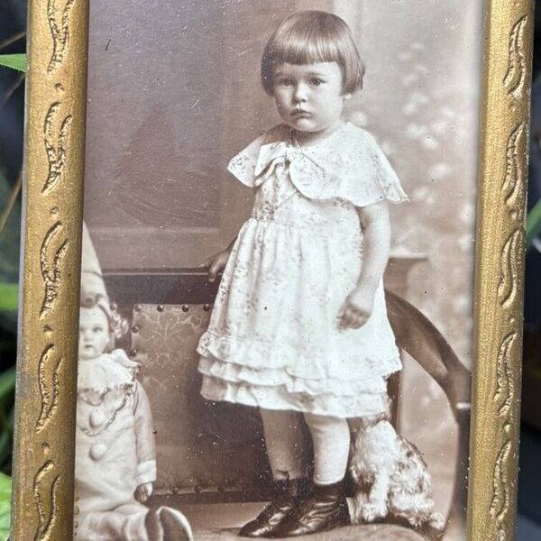 Cottage in the Sudetenland II.