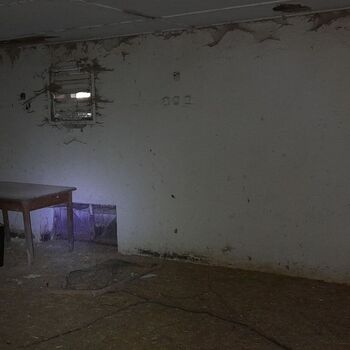 Pheasantries Pheasantries