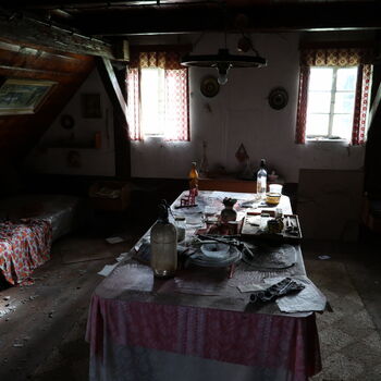 A grove in the borderlands.