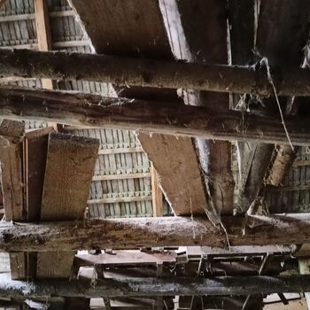 Spitzenschiff 9z10ti...