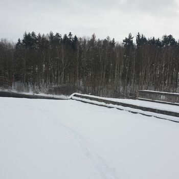 sníh počasí zima studené krajina stromy sezona Les