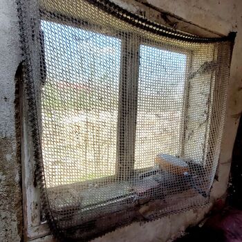 Dieses kleine Haus hat es schon seit ein paar