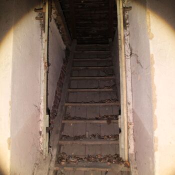 Beschreibende Nummer 35 Beschreibende Nummer 35