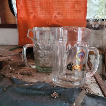 Der Wohnwagen ist im Wald geparkt,