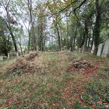 Old Jewish cemetery Old Jewish cemetery