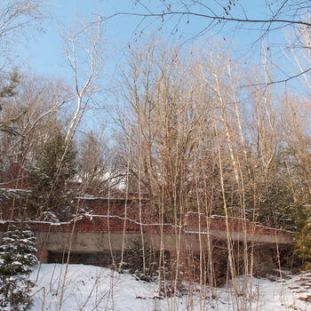 Schalenminen Schalenminen