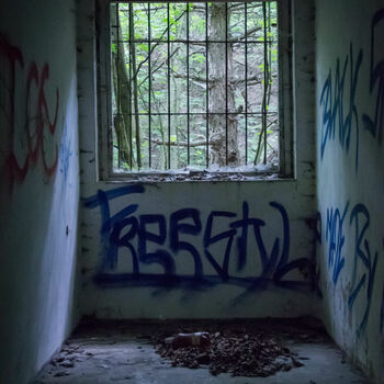 sgrafity dekorace dveře Architektura