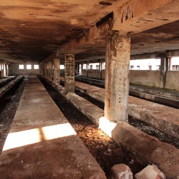 Riesiges Sparschwein