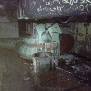 Javor52 Javor52