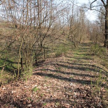Mostek přes Červený potok cca v km 3,65 Mostek přes Červený potok cca v km 3,65
