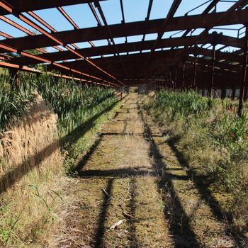 Velkokapacitní kravín Velkokapacitní kravín