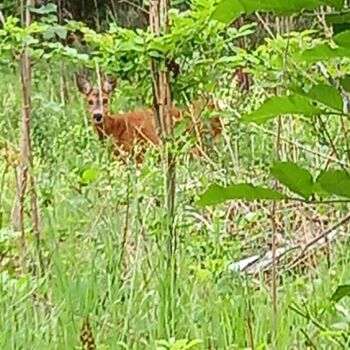 Grinding plant with turbine