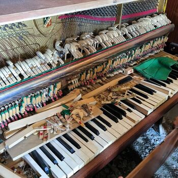An abandoned house in the middle of a village