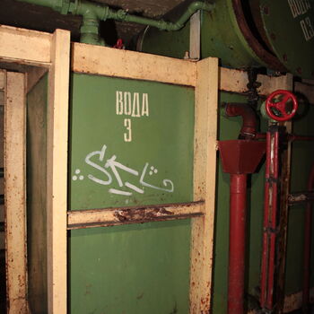 Maple 52 with swimming pool