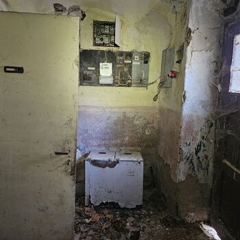 Das Haus beim Plüschtier.