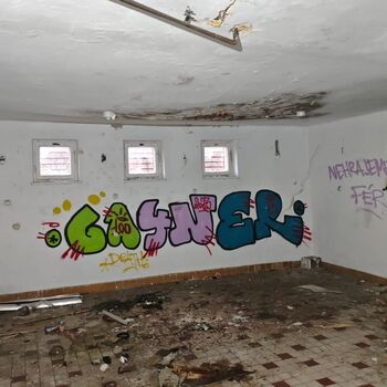 What put an end to this motor lodge? An abandoned motor lodge...