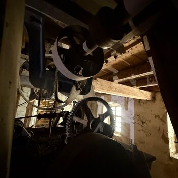 DDT, or the crocodile wasn't home