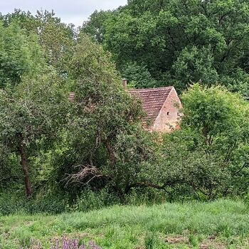 Spitzenschiff 9z10ti...