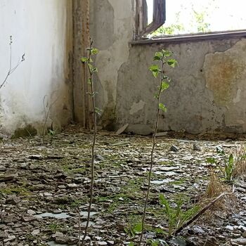 Bytovka 2022 Bytovka 2022