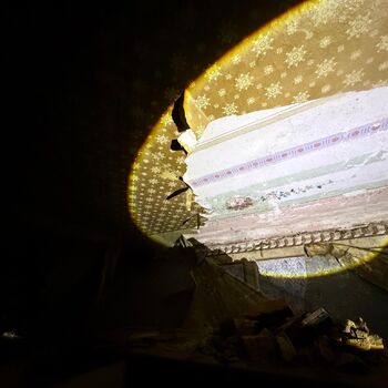 DDT, or the crocodile wasn't home