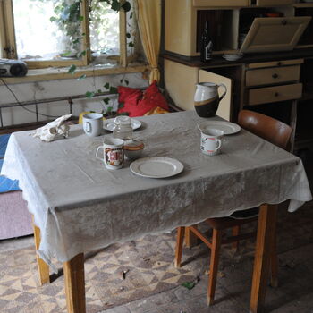 A grove in the Sudetenland.