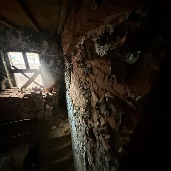 Kde holubi chodí pěšky