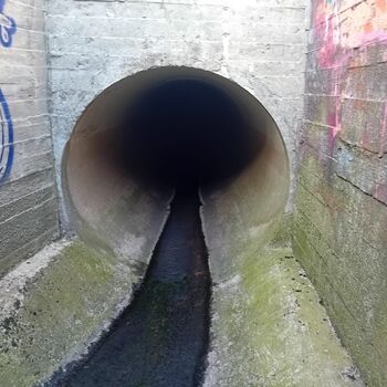 Kanalizace vede asi 500m pod zemí a cca. každých 10m jsou otevřené výlezy po skobách kanálem ven. Tunel se dále rozdvojuje na dva úzké tunýlky (tam už se člověk nevyleze, je zapotřebí nějaké prozkoumávací a vodotěsné kamery) Kanalizace vede asi 500m pod zemí a cca. každých 10m jsou otevřené výlezy po skobách kanálem ven. Tunel se dále rozdvojuje na dva úzké tunýlky (tam už se člověk nevyleze, je zapotřebí nějaké prozkoumávací a vodotěsné kamery)