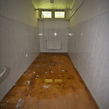 interiér místnost zeď Buňka dům podlaha domácí