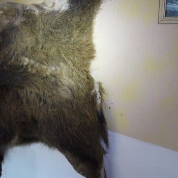 Urbex - Krysi-Schloss 2024