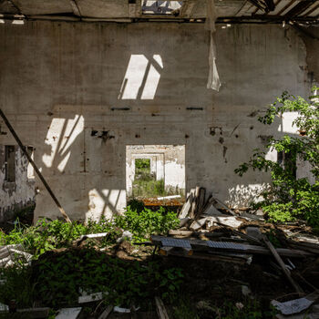 Landwirtschaftliche Fläche