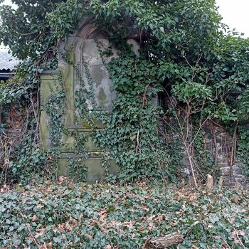 Friedhof 2022 Friedhof 2022