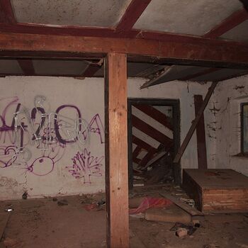 Mill from Snake river