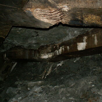 Richard Underground Factory