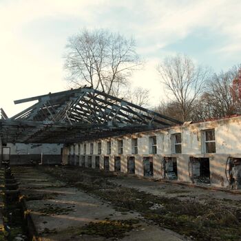 Riesiges Sparschwein