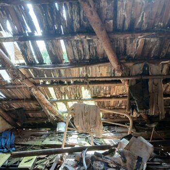 Prohnilou střechu již napadla plíseň.