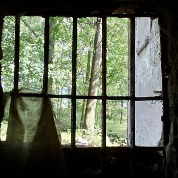 věznice nápravném zařízení nápravného zařízení Buňka