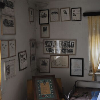 A grove in the Sudetenland.