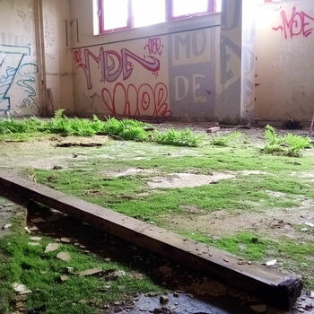 zeď sgrafity zeď sgrafity