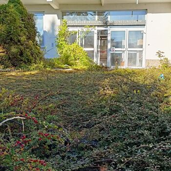 Urlaubsort in Österreich